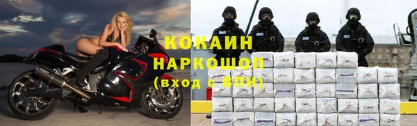 индика Верхнеуральск