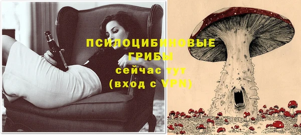 индика Верхнеуральск