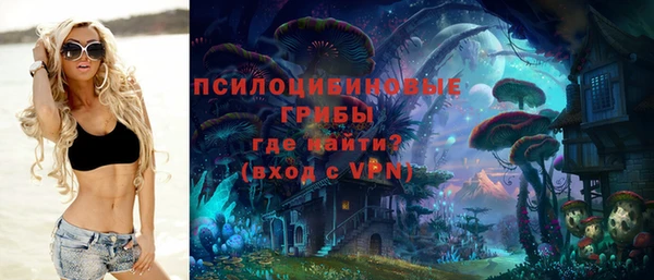 мескалин Бородино