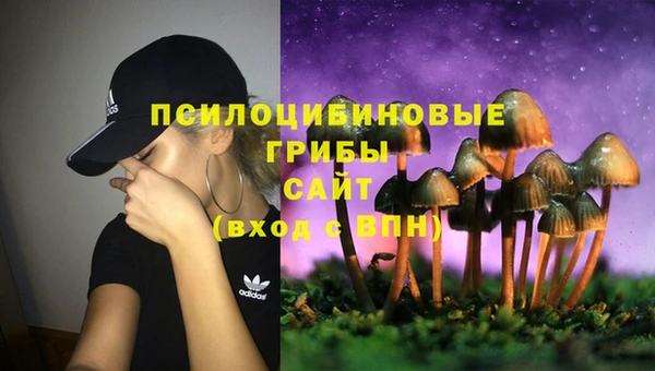 дмт Бронницы